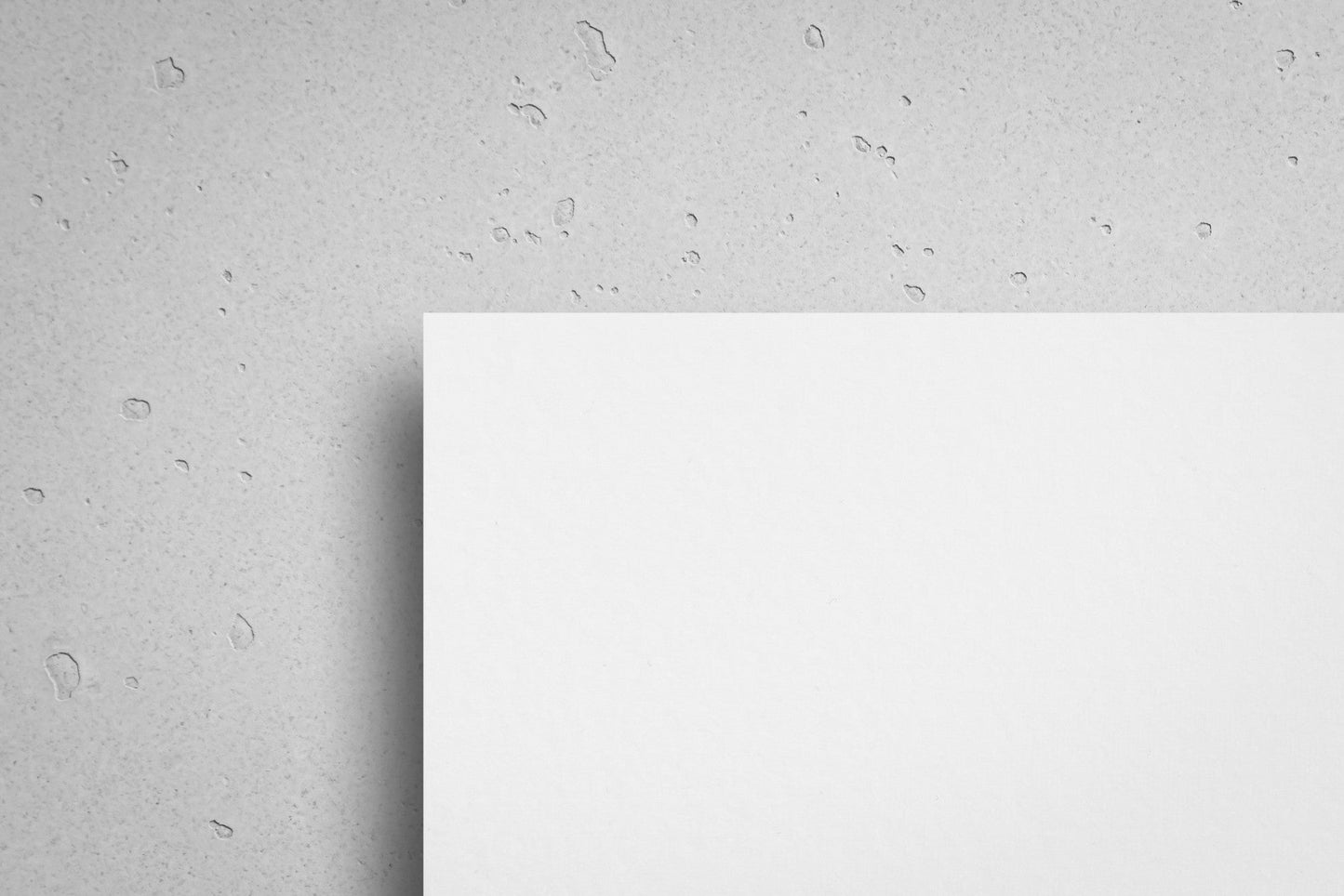 MUTE+ board S40 | Deckenabsorber 750 x 750 mm